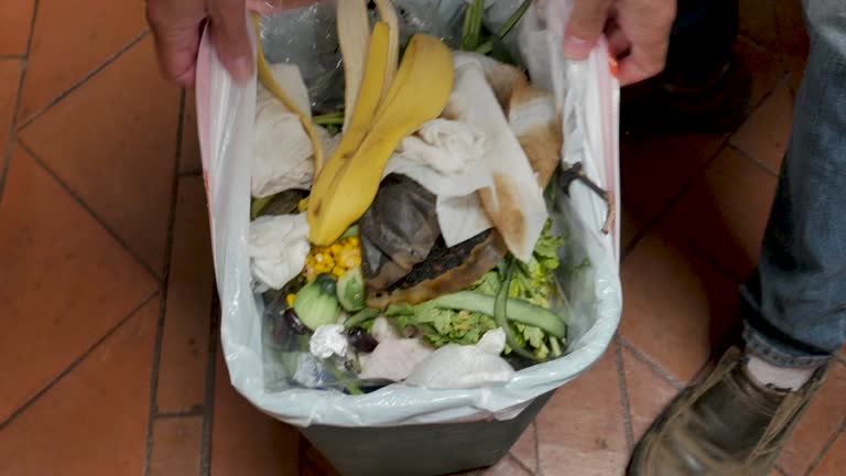 Best Garage Cleanout  in Elk River, MN